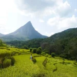Sri Pada mountain, Adem's peak mountain Sri Lanka